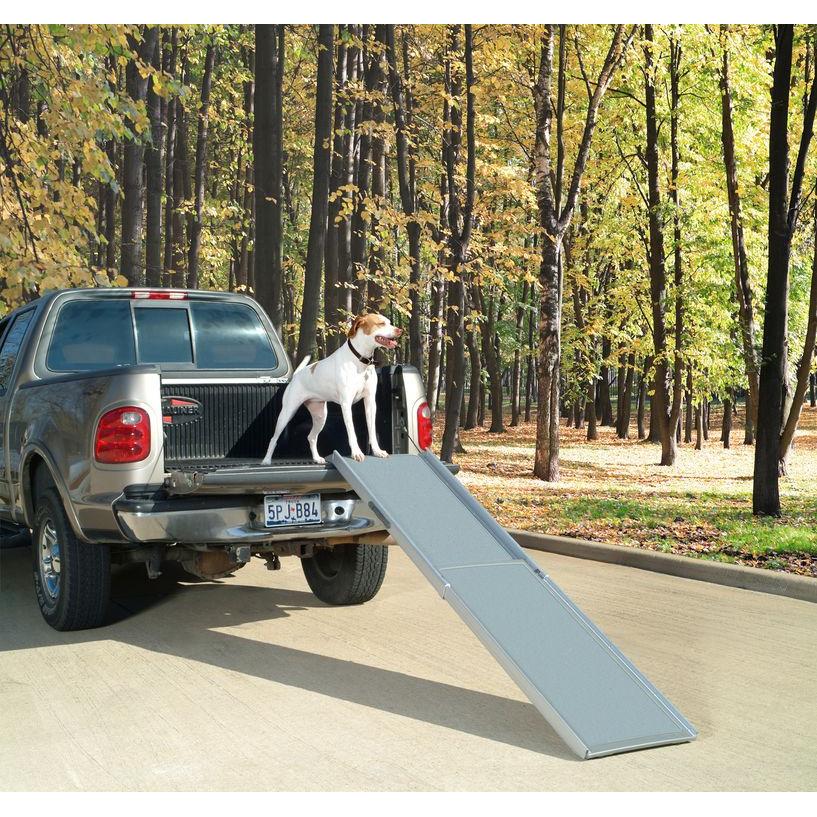product/p/e/petsafe_cy1296_1.jpg