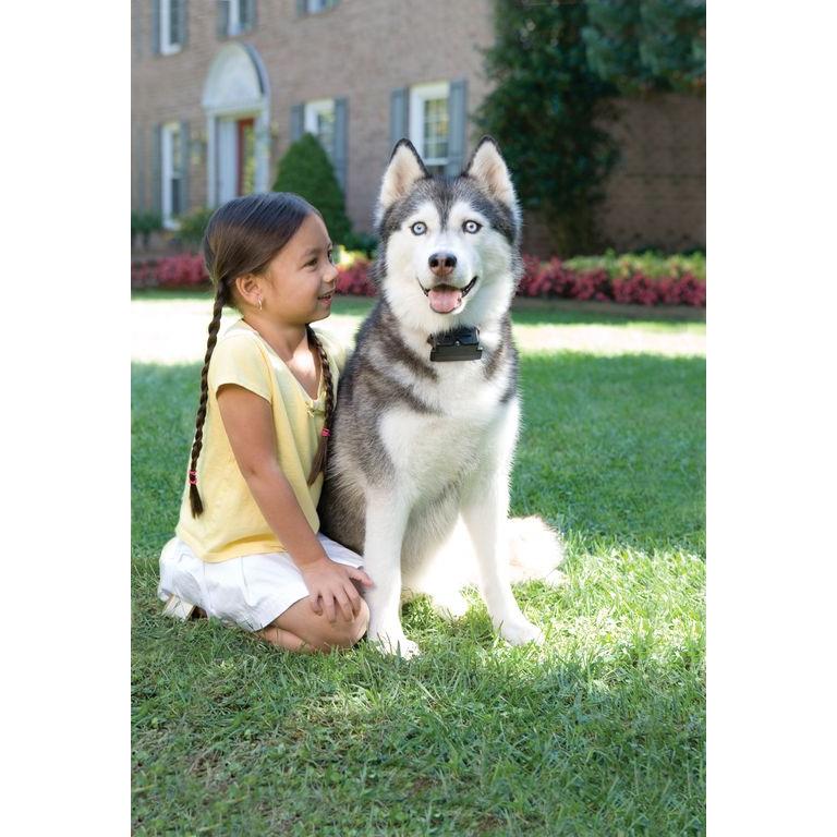 product/p/e/petsafe_cy1662_2.jpg