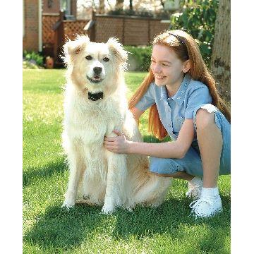 product/p/e/petsafe_cy1664_3.jpg