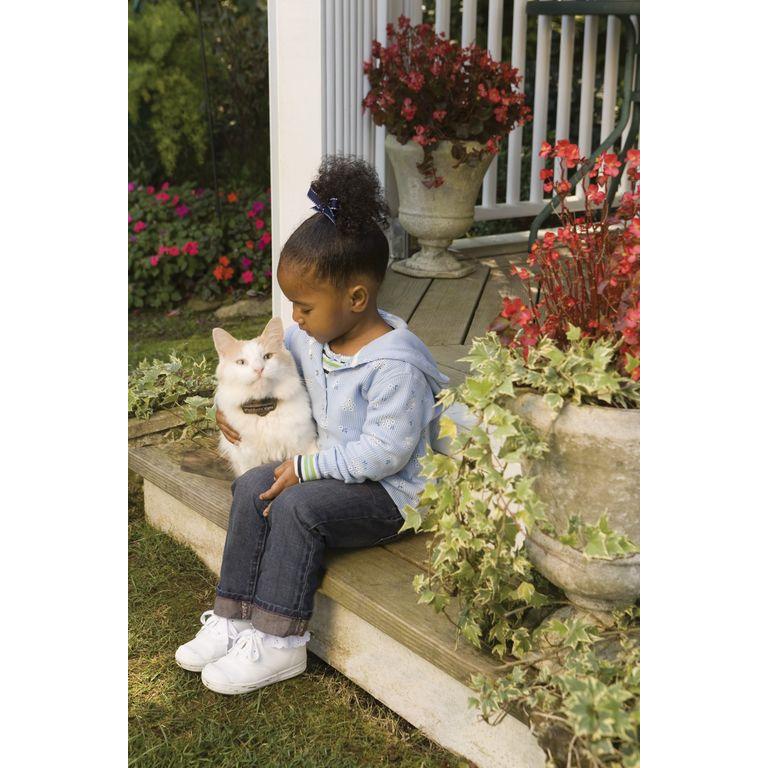 product/p/e/petsafe_cy1667_2.jpg