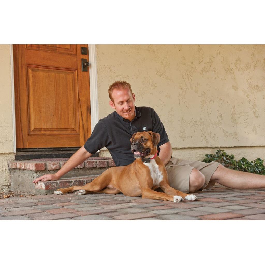 product/p/e/petsafe_cy1676_1.jpg