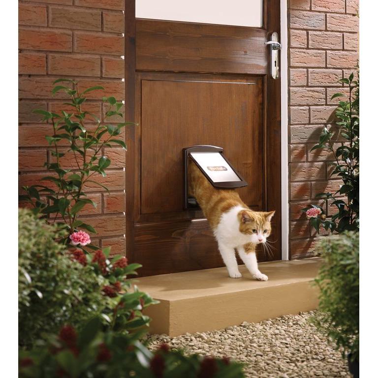 product/p/e/petsafe_cy1715_1.jpg