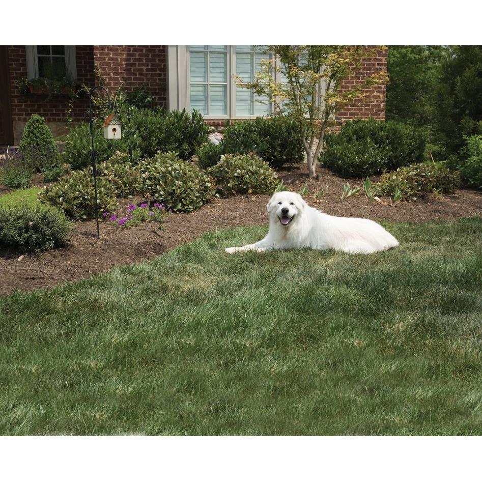 product/p/e/petsafe_cy1894_1.jpg