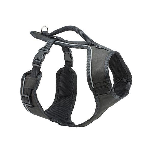 product/p/e/petsafe_cy2023_0.jpg