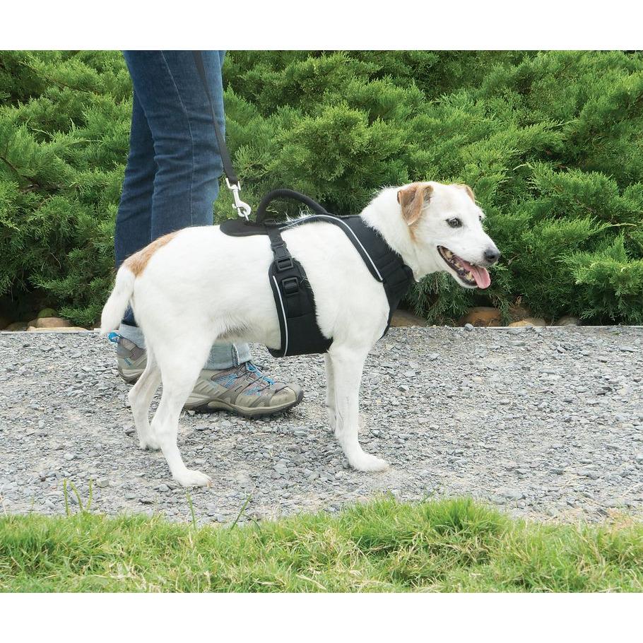 product/p/e/petsafe_cy2023_1.jpg