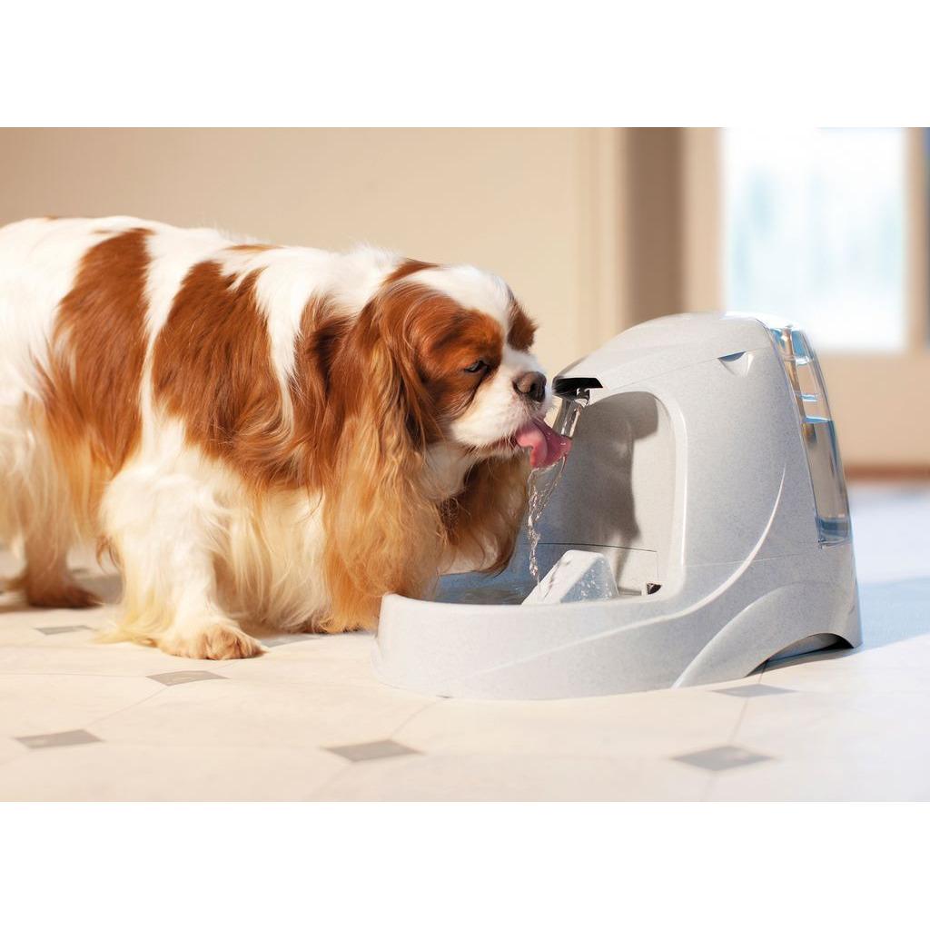 product/p/e/petsafe_cy2628_0.jpg