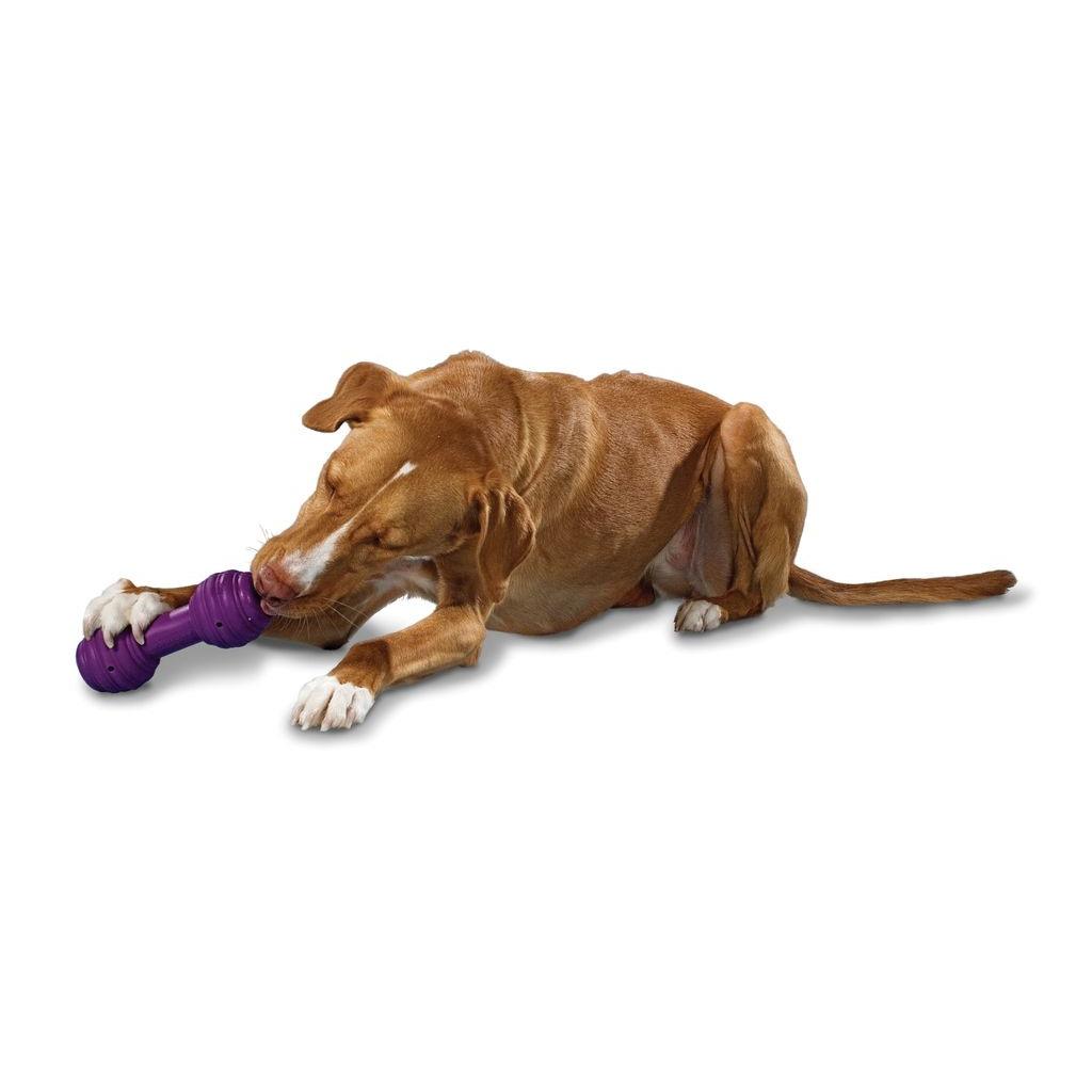 product/p/e/petsafe_cy2643_3.jpg