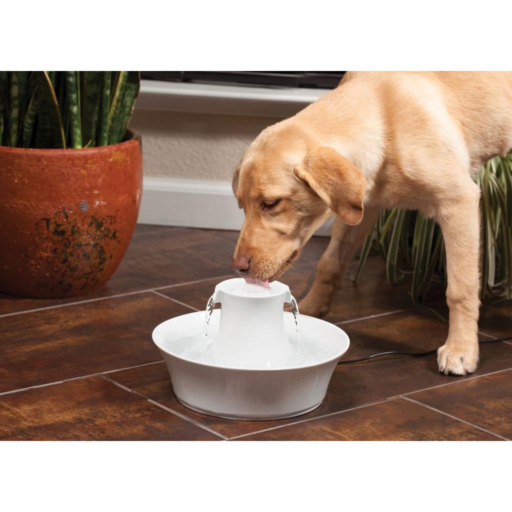 product/p/e/petsafe_cy3568_1.jpg