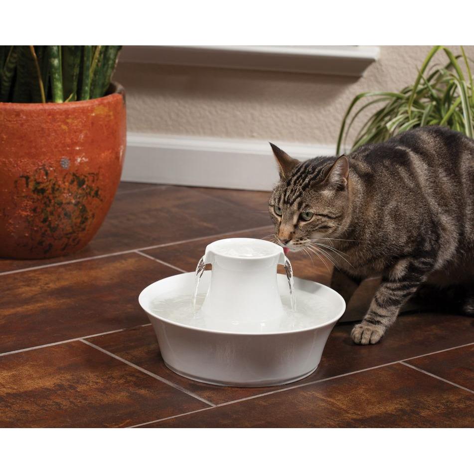 product/p/e/petsafe_cy3568_2.jpg