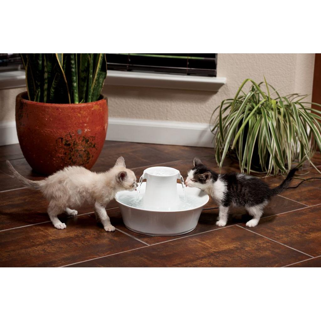 product/p/e/petsafe_cy3568_3.jpg