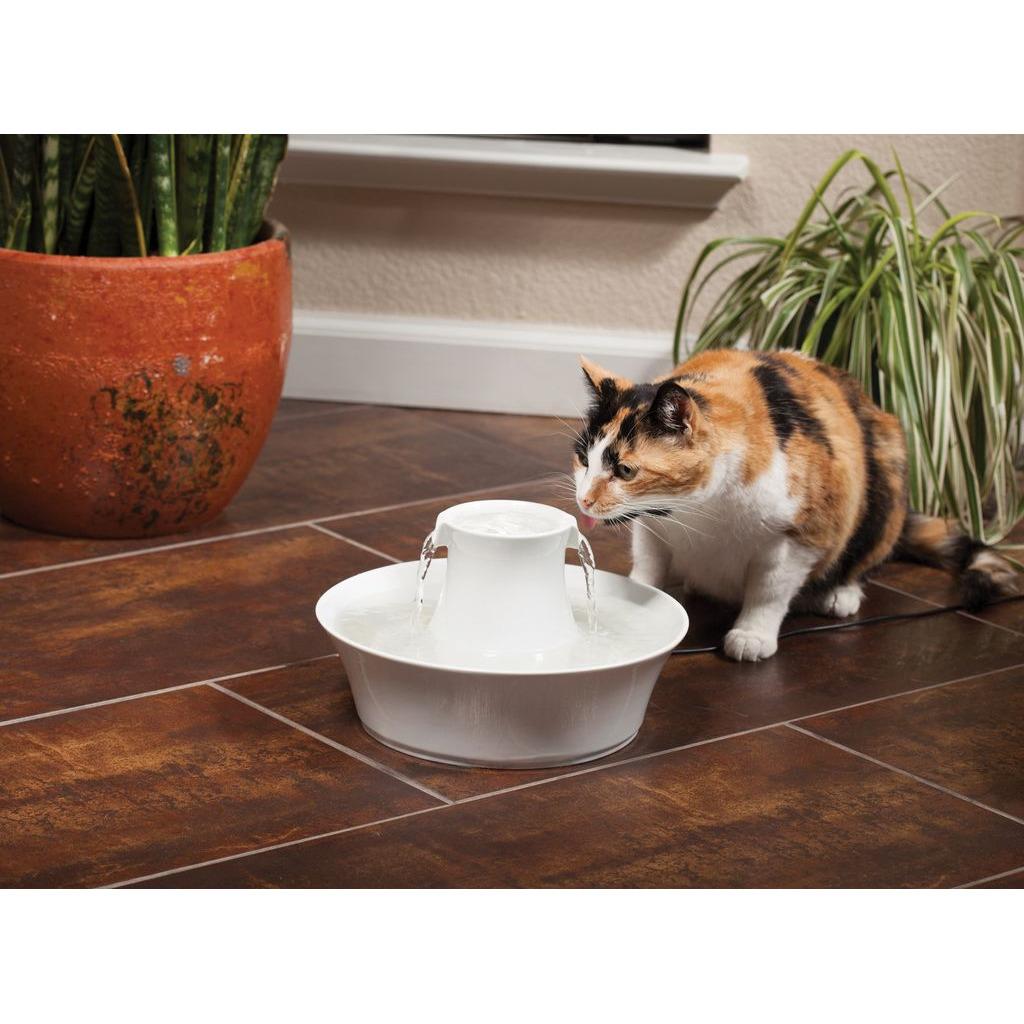 product/p/e/petsafe_cy3568_4.jpg