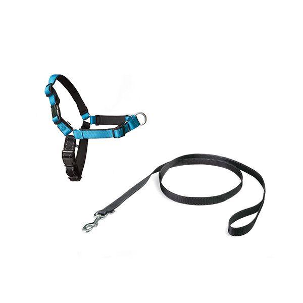 product/p/e/petsafe_cy3900_blauw_1.jpg