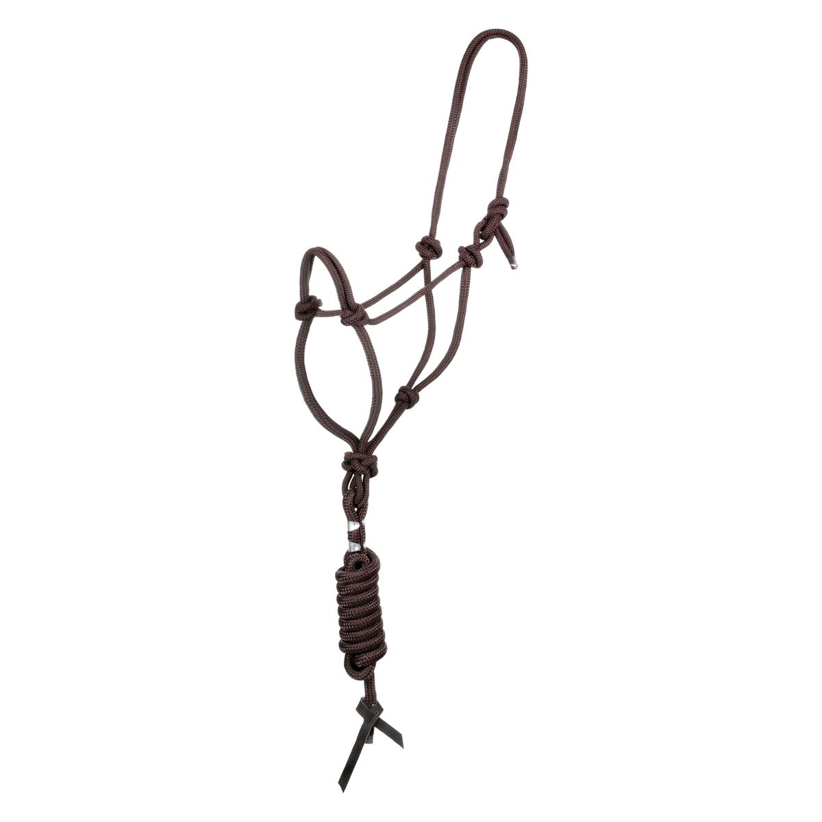 product/p/o/pool-s_ca00128-brown_brown_1.jpg