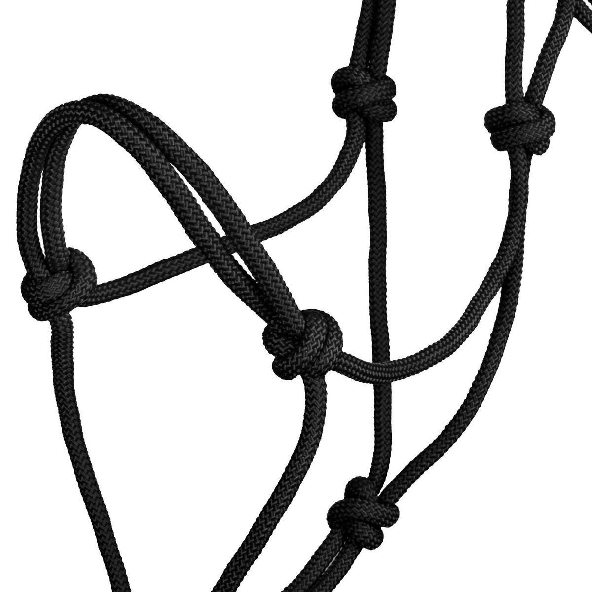 product/p/o/pool-s_ca00129-black_black_3.jpg