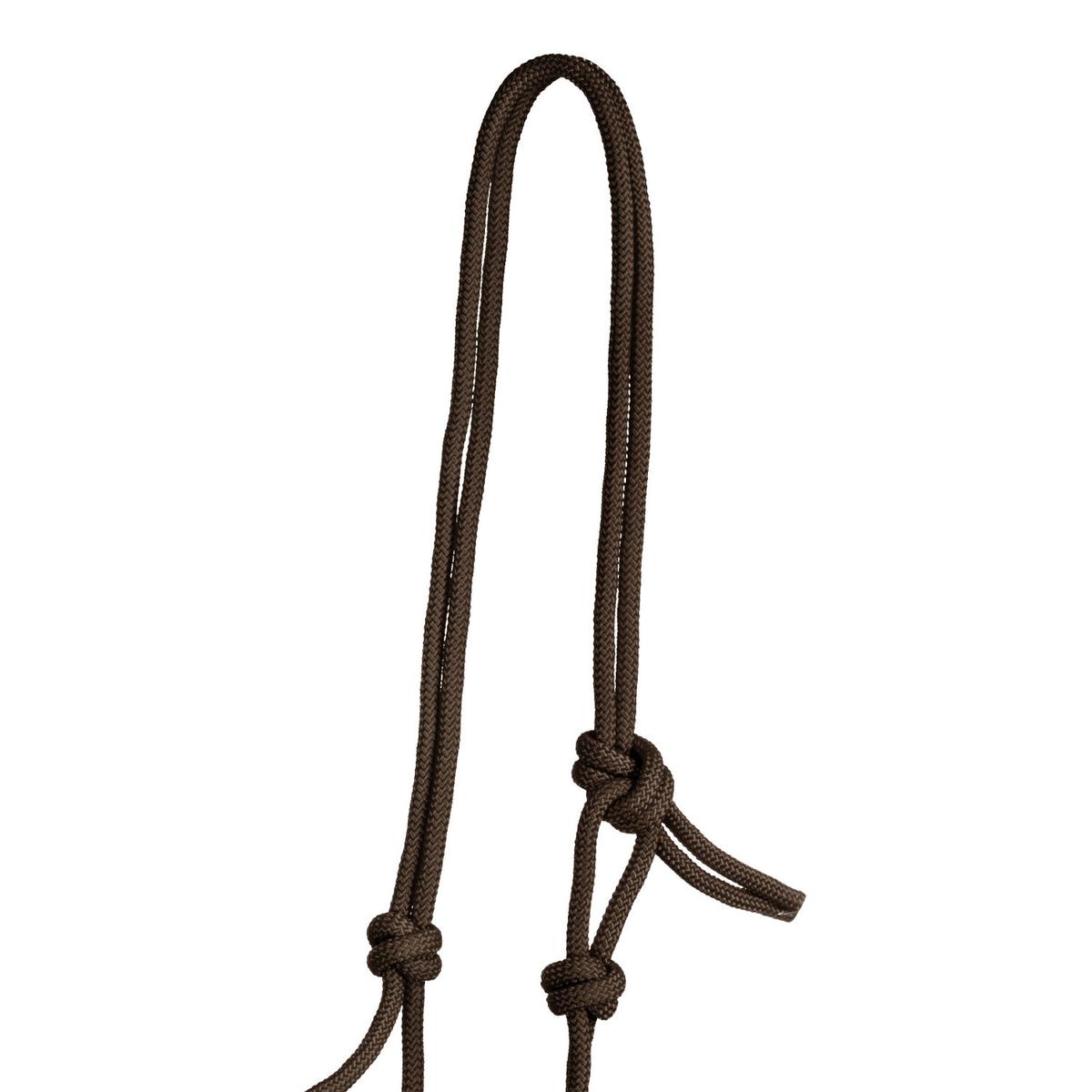 product/p/o/pool-s_ca00129-brown_brown_2.jpg