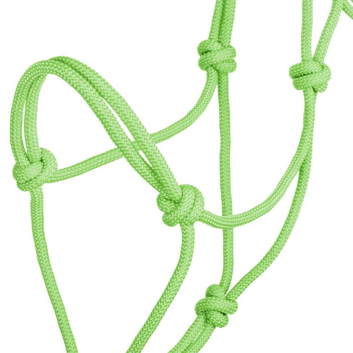 product/p/o/pool-s_ca00129-lime_lime_3.jpg