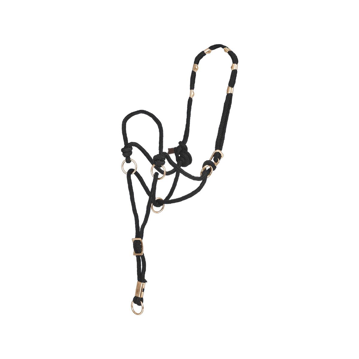 product/p/o/pool-s_ca00150-black_black_1.jpg