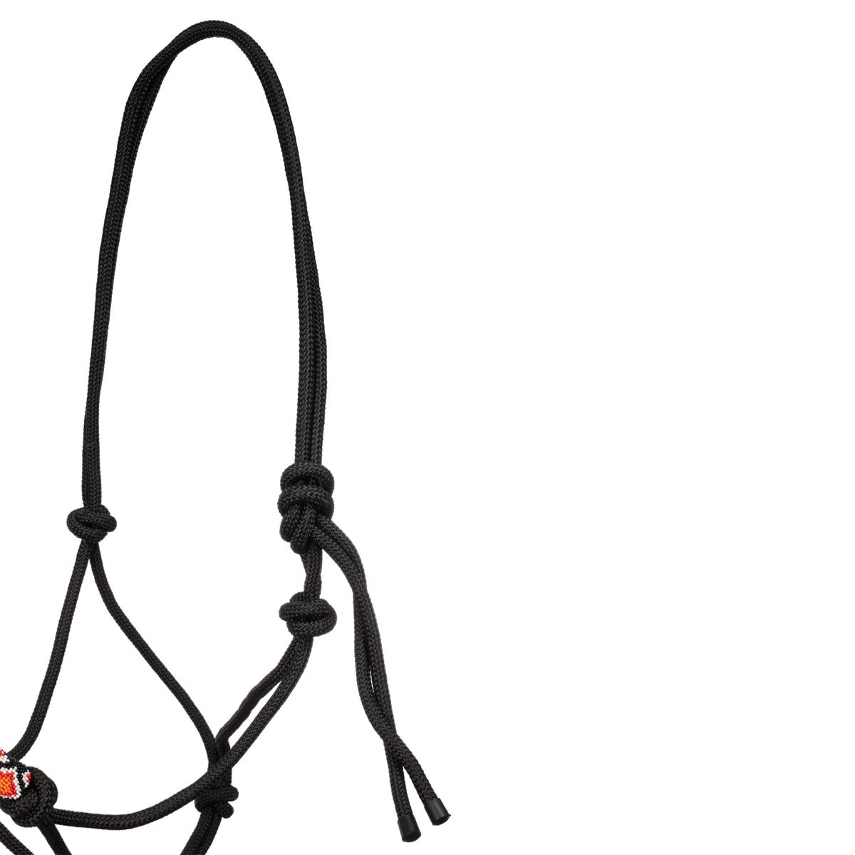 product/p/o/pool-s_plh03000-black_black_2.jpg