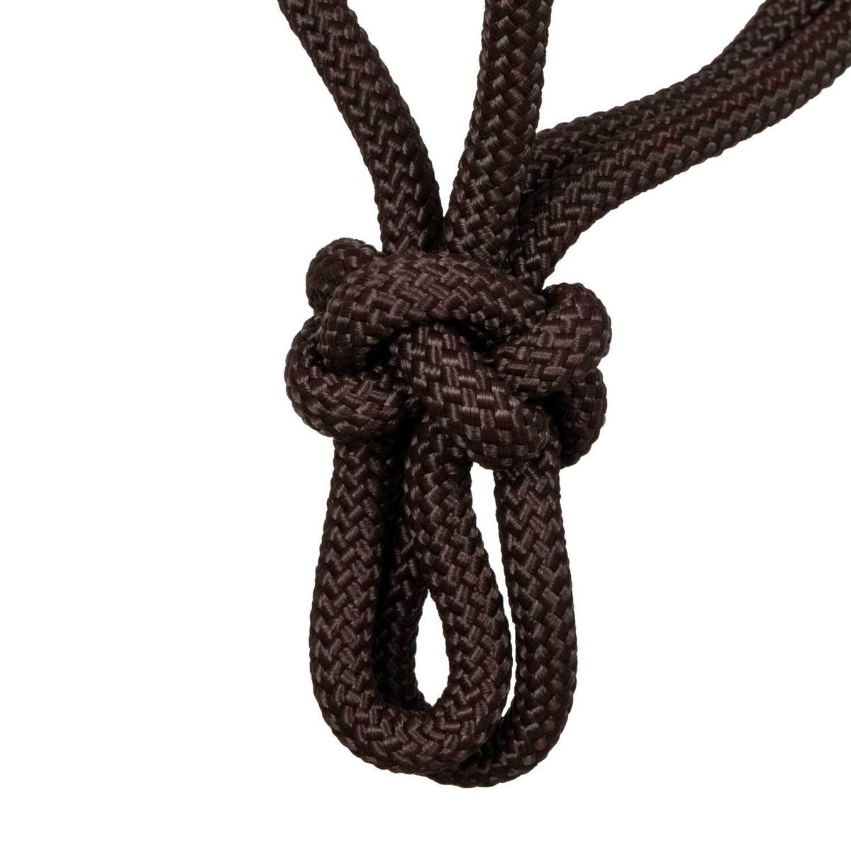 product/p/o/pool-s_plh03001-brown_brown_4.jpg