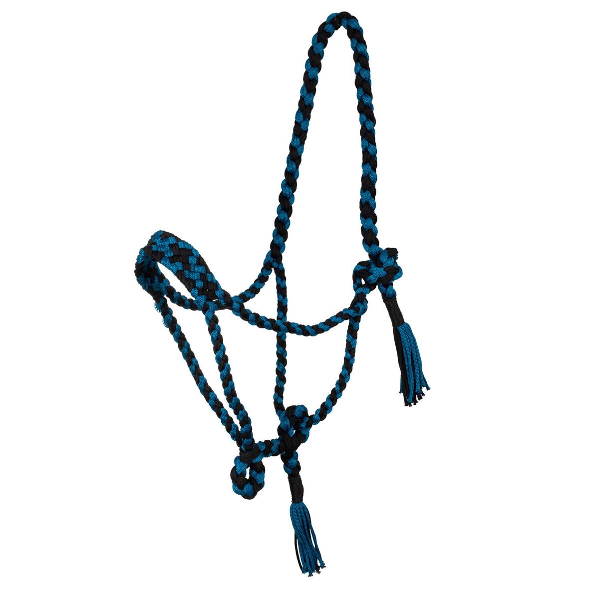 product/p/o/pool-s_plh03002-black_teal_black-teal_1.jpg