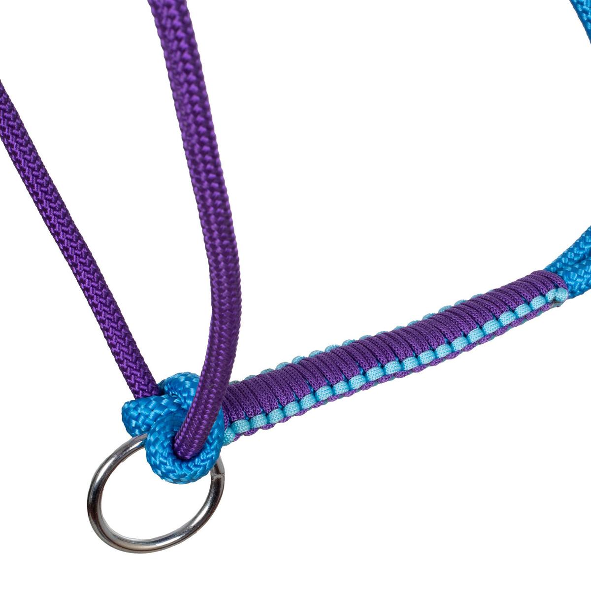 product/p/o/pool-s_plh03003-turquoise_purple_turquoise-purple_4.jpg