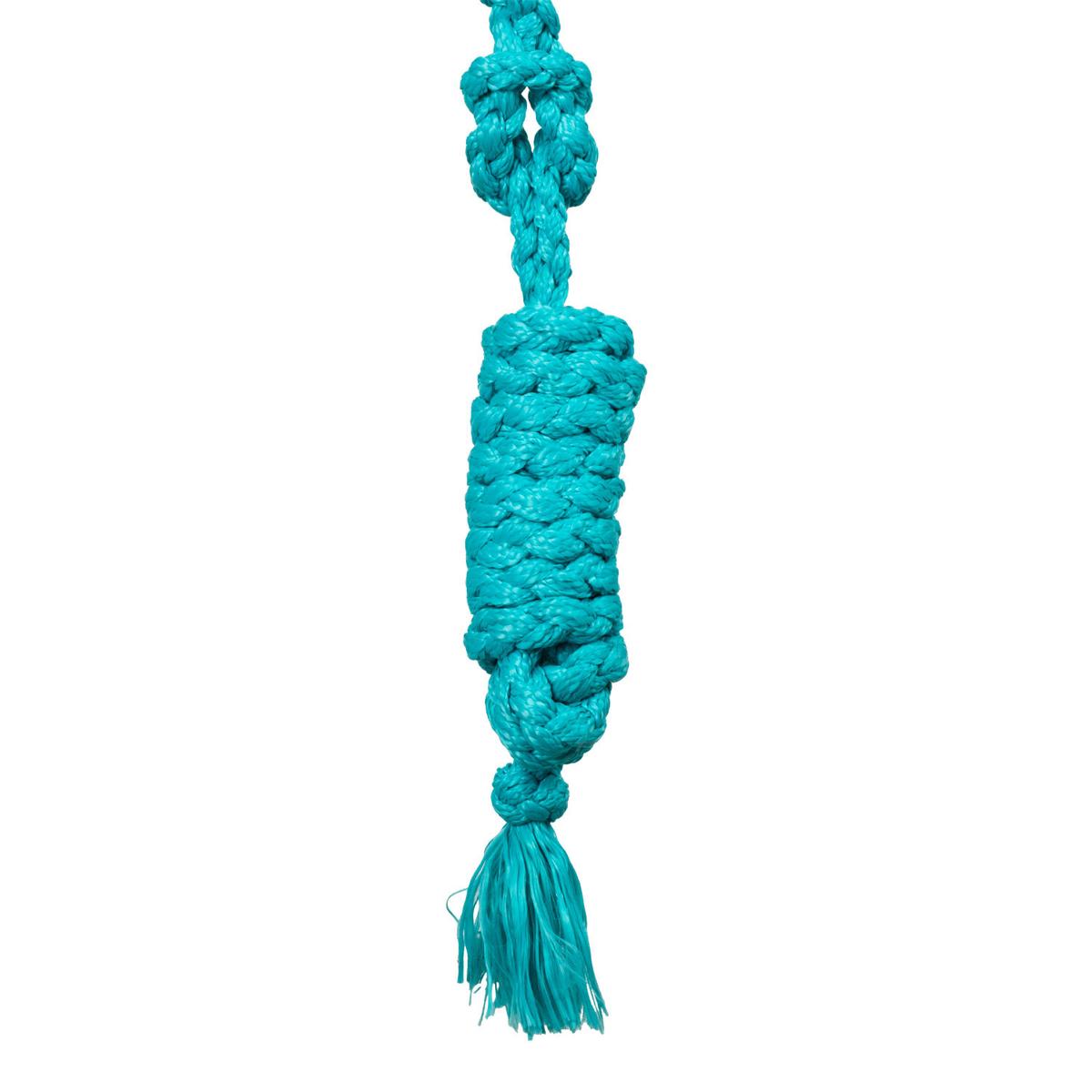 product/p/o/pool-s_plh03004-turquoise_turquoise_4.jpg