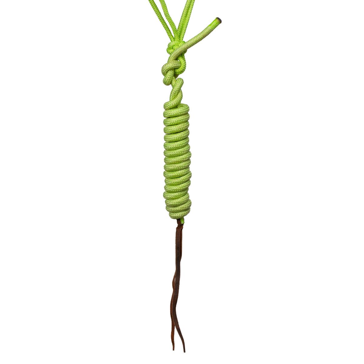 product/p/o/pool-s_plh03010-lime_vert_4.jpg