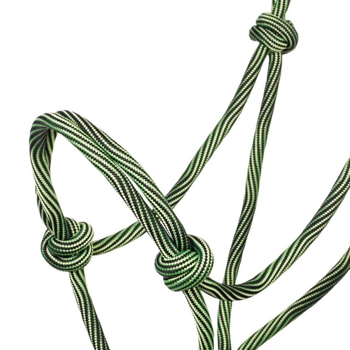 product/p/o/pool-s_plh03014-lime_black_lime-black_3.jpg