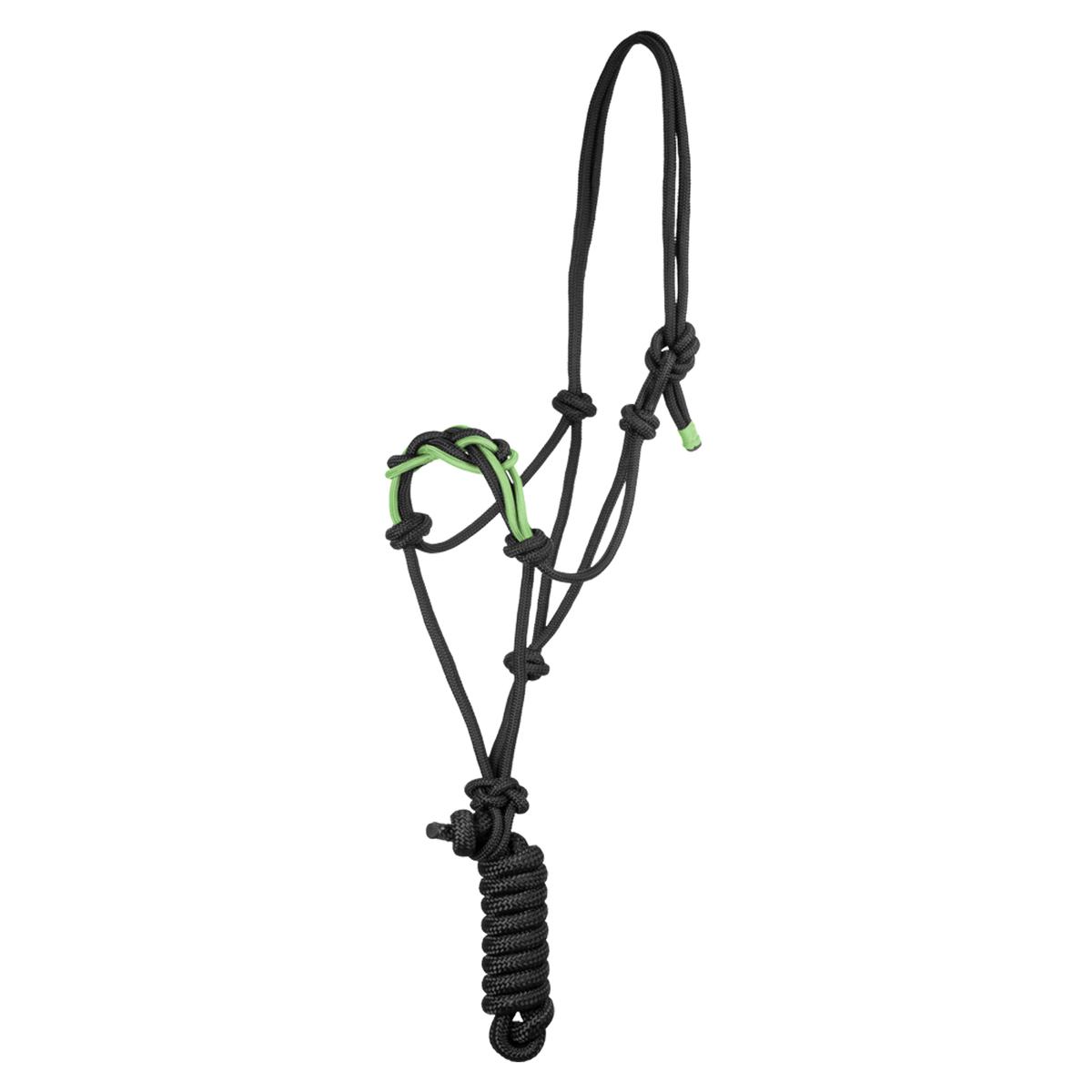 product/p/o/pool-s_plh03016-black_lime_black-lime_1.jpg