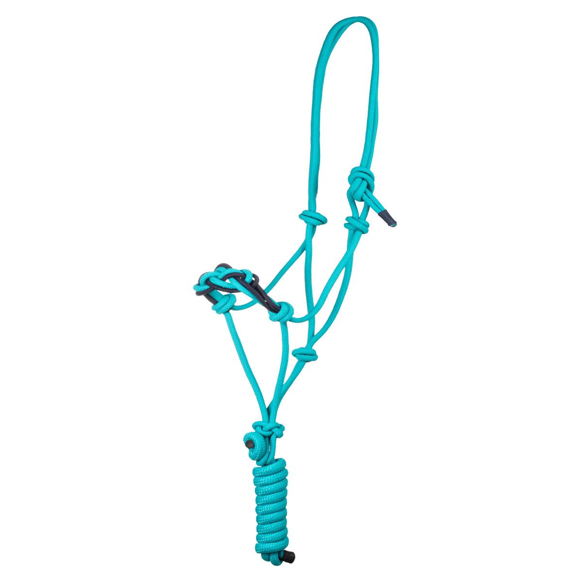 product/p/o/pool-s_plh03016-teal_nv_teal-nv_1.jpg