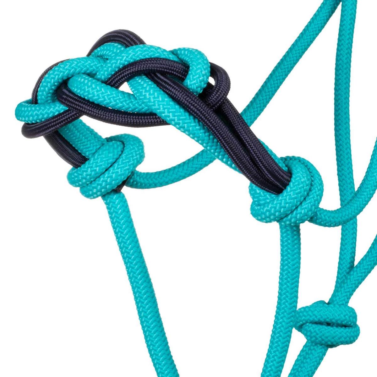 product/p/o/pool-s_plh03016-teal_nv_teal-nv_3.jpg