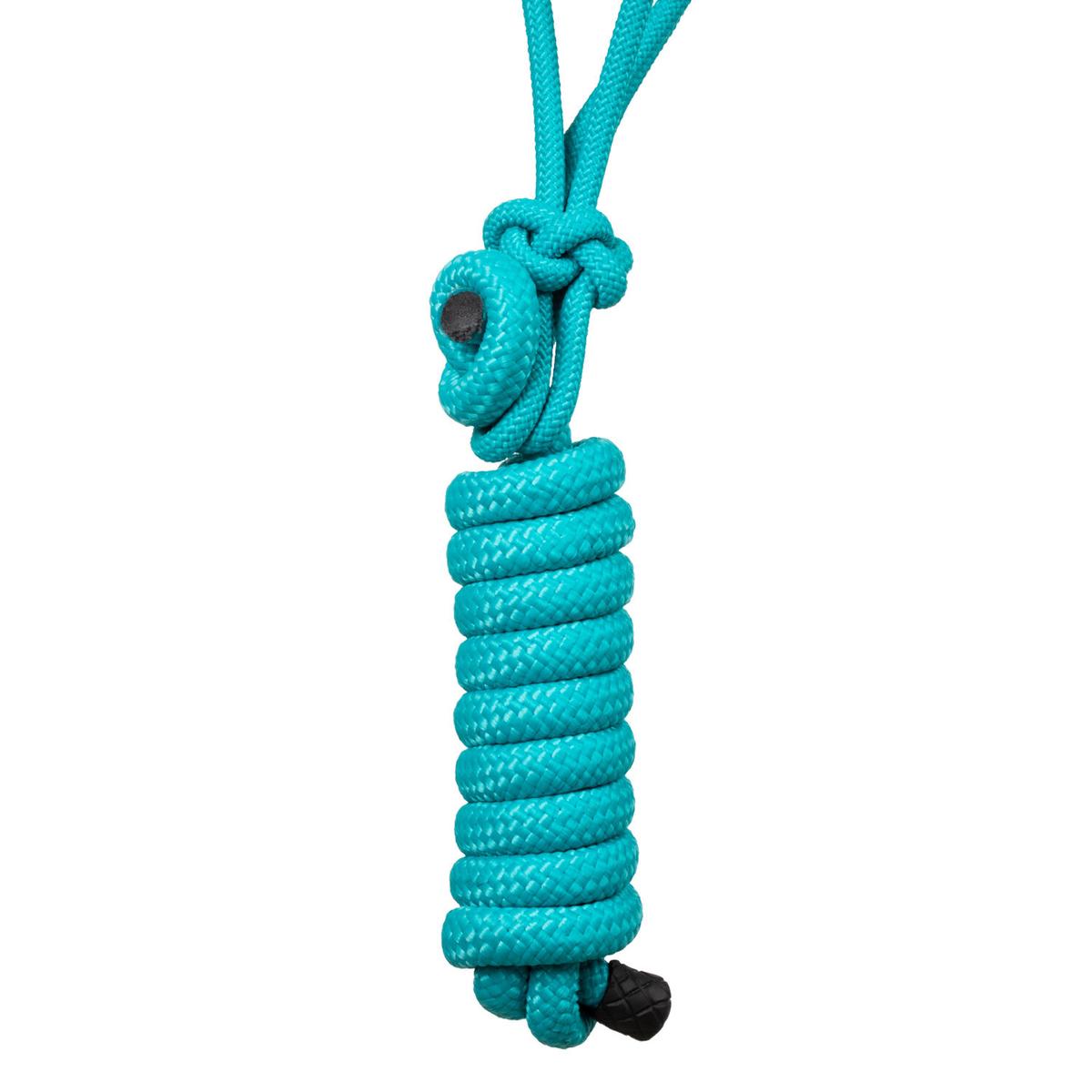 product/p/o/pool-s_plh03016-teal_nv_teal-nv_4.jpg