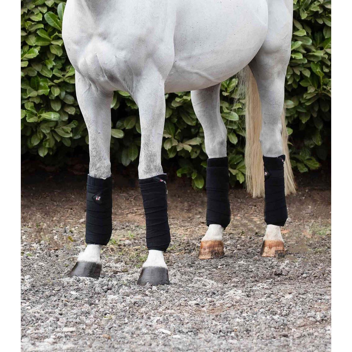 product/p/r/premier-equine_1006blk_black_2.jpg