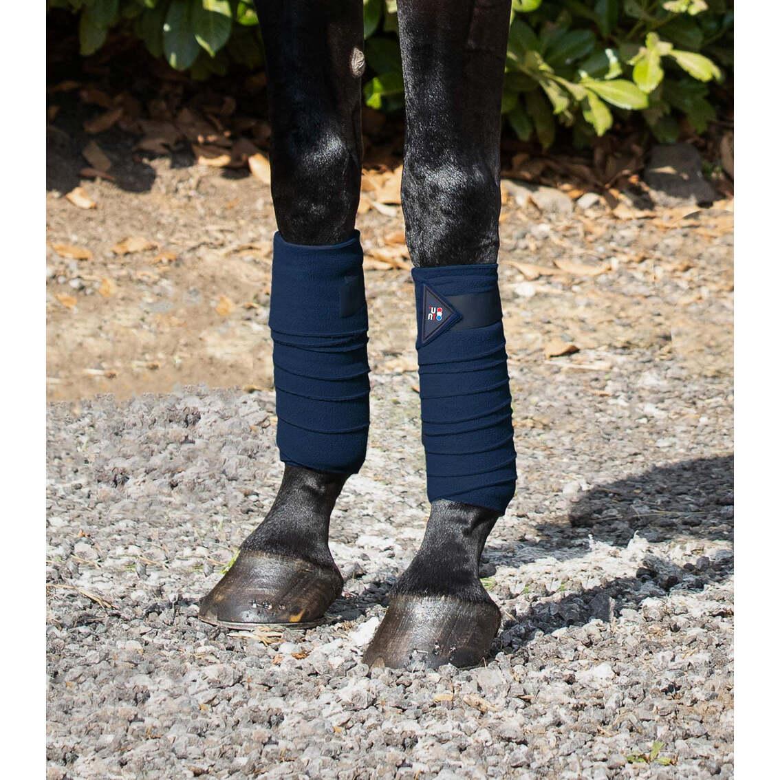 product/p/r/premier-equine_1006n_navy_4.jpg