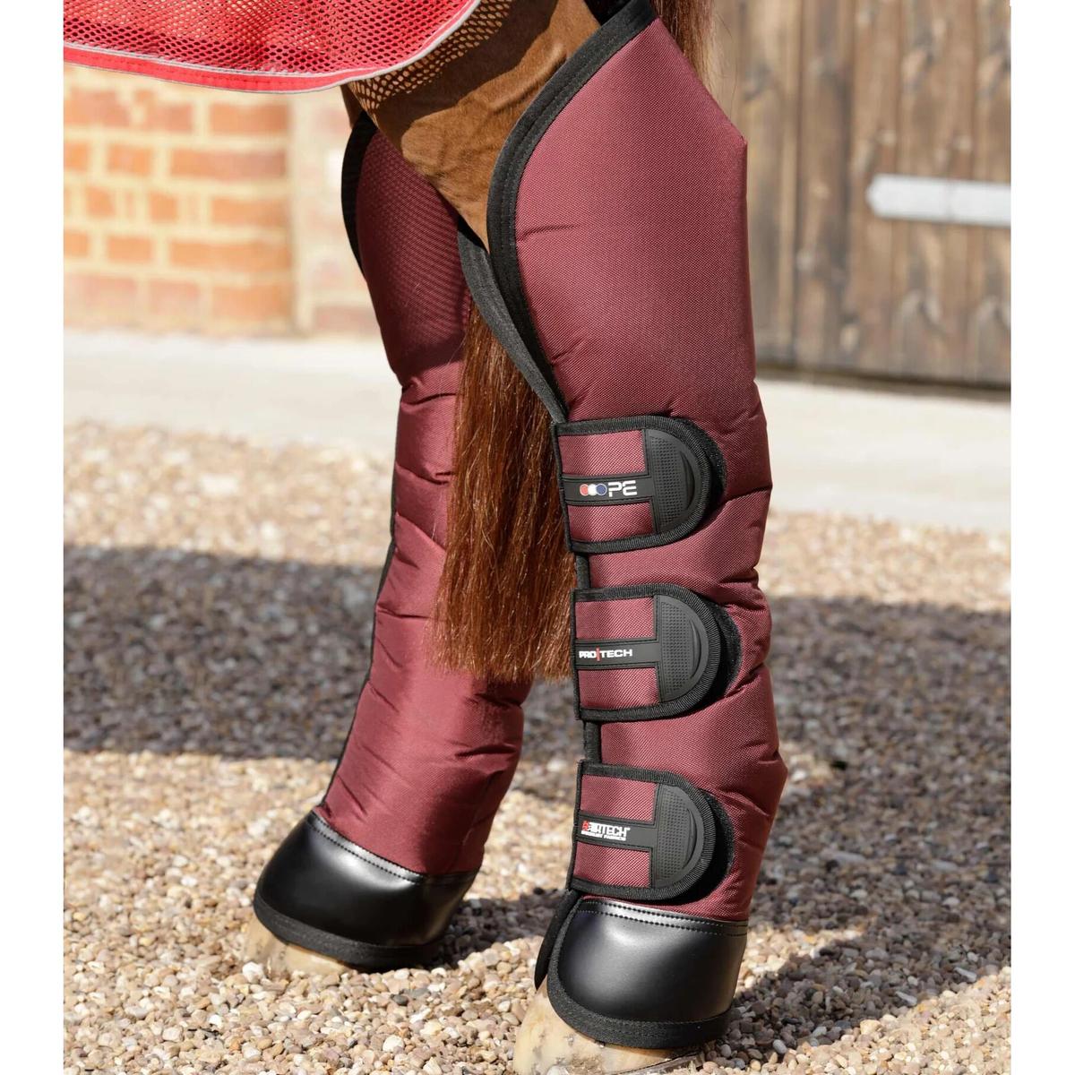 product/p/r/premier-equine_1007lbrg_3.jpg