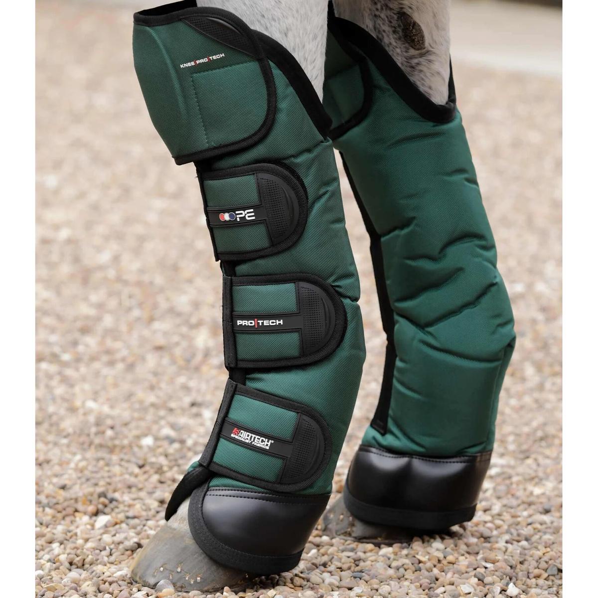product/p/r/premier-equine_1007lg_1.jpg