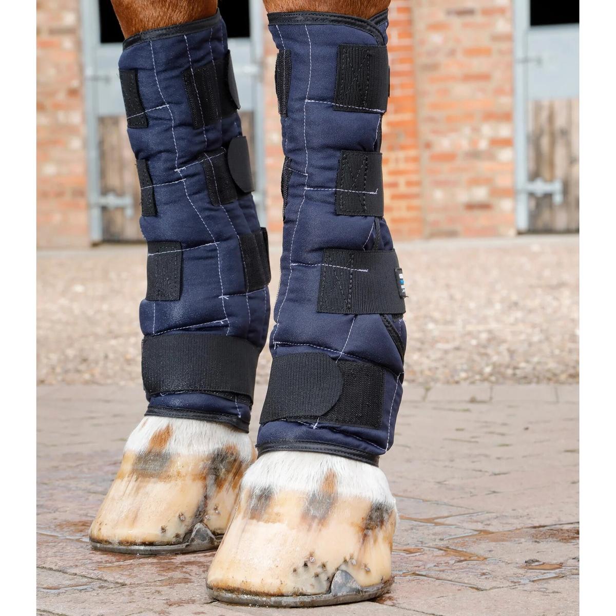 product/p/r/premier-equine_1009l_4.jpg