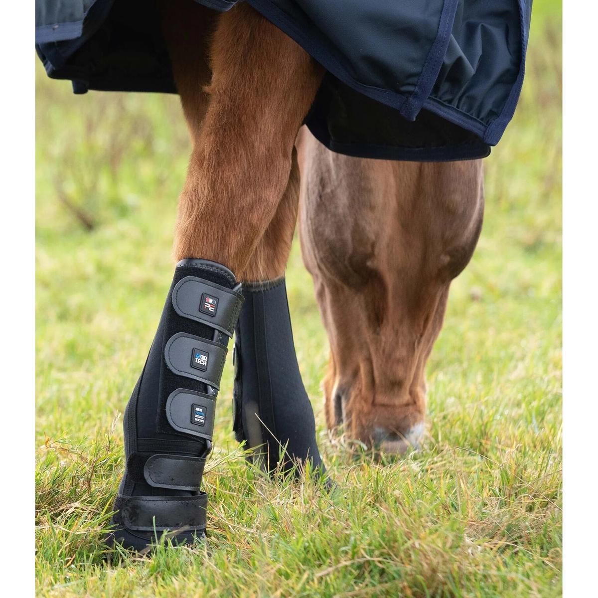 product/p/r/premier-equine_1011xl_3.jpg