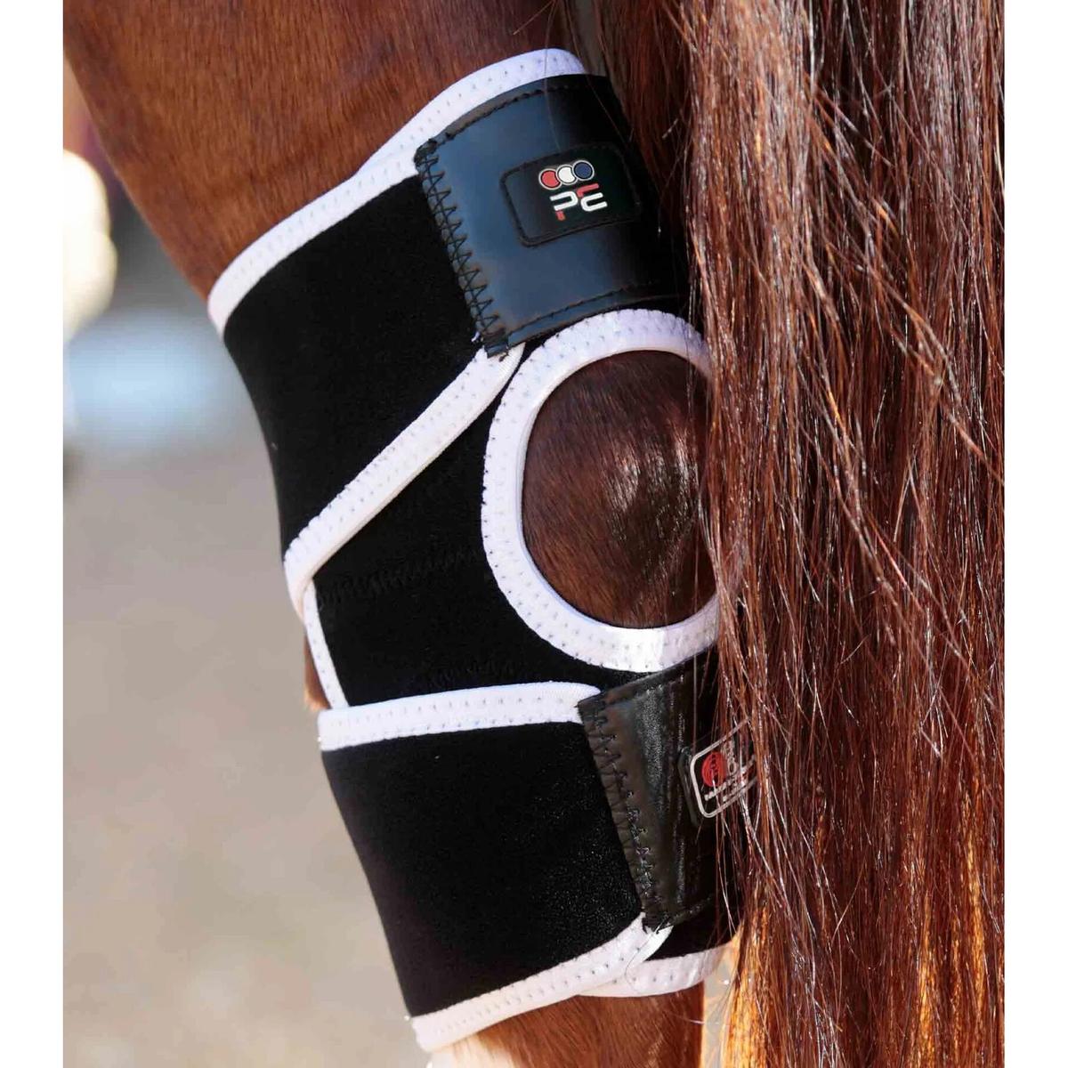 product/p/r/premier-equine_1016_4.jpg