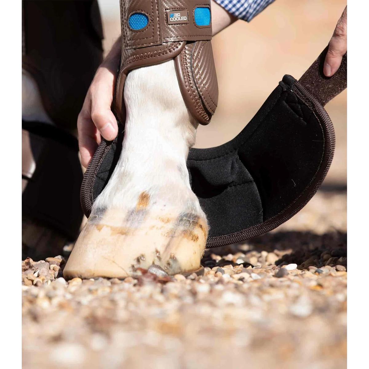 product/p/r/premier-equine_1022xxlbrw_2.jpg