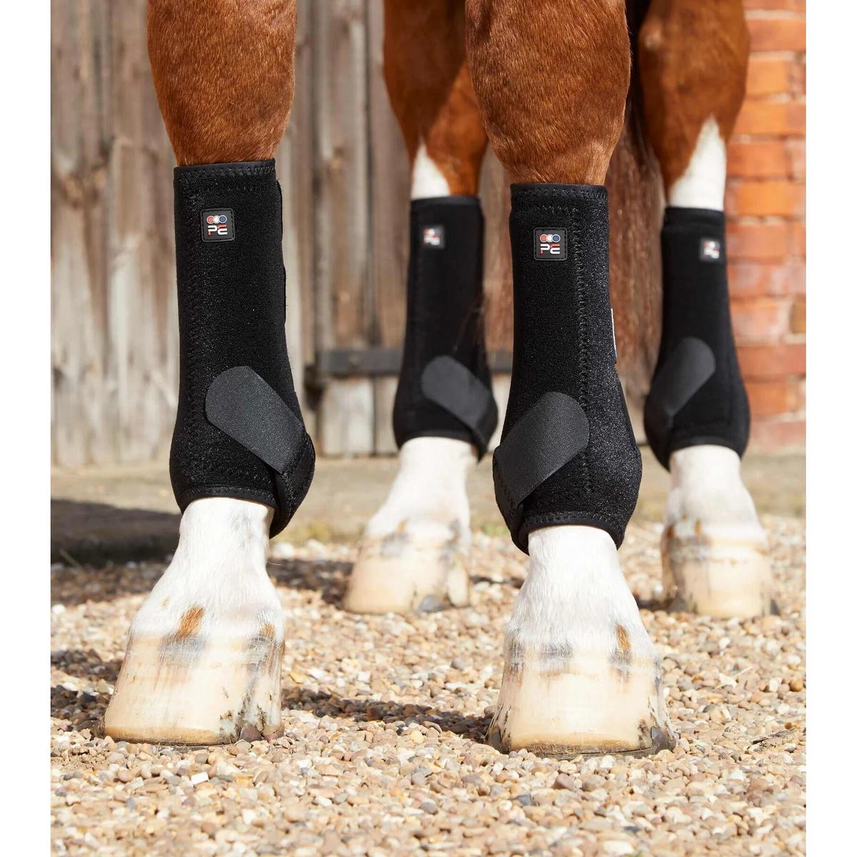 product/p/r/premier-equine_1029xlblk_2.jpg