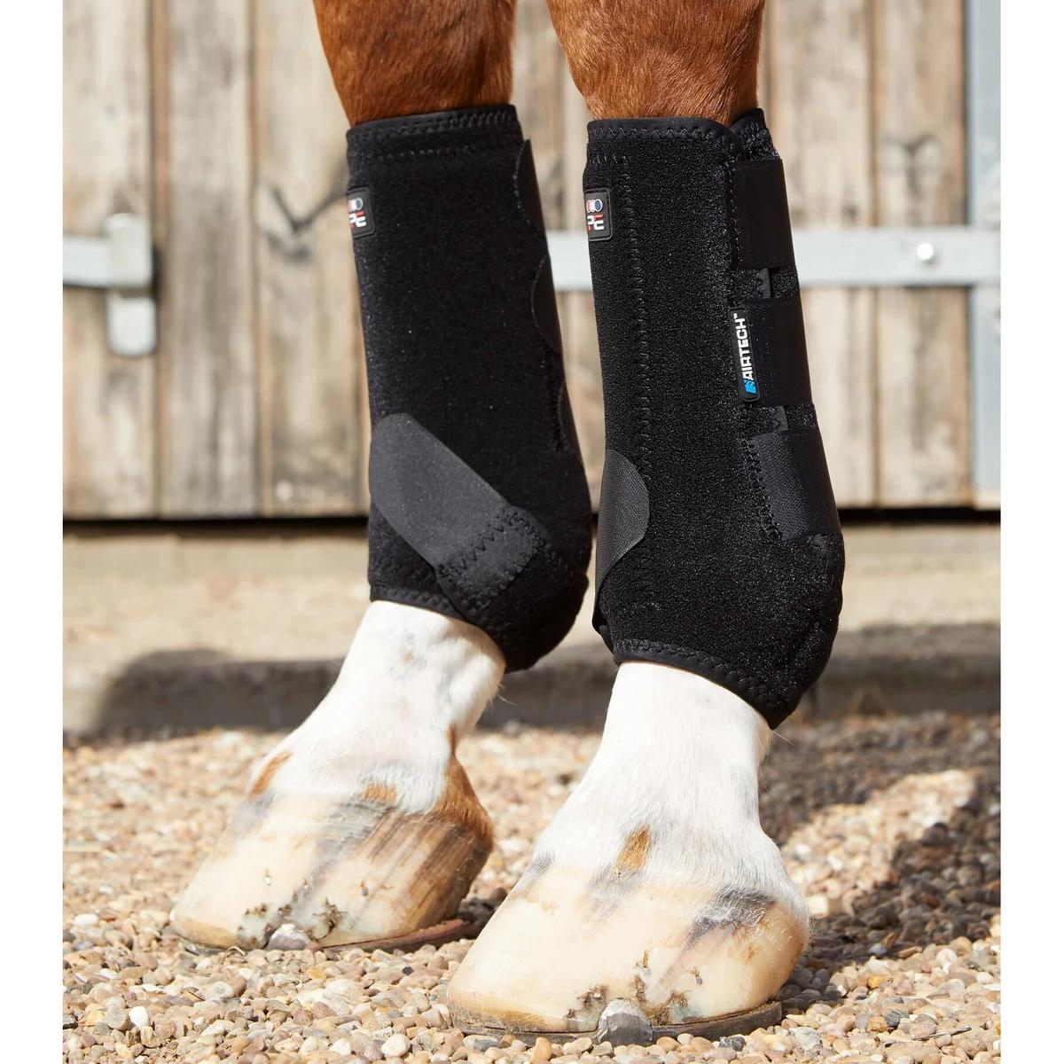product/p/r/premier-equine_1029xlblk_4.jpg