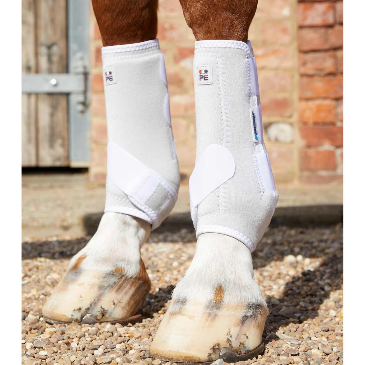 product/p/r/premier-equine_1029xlw_1.jpg