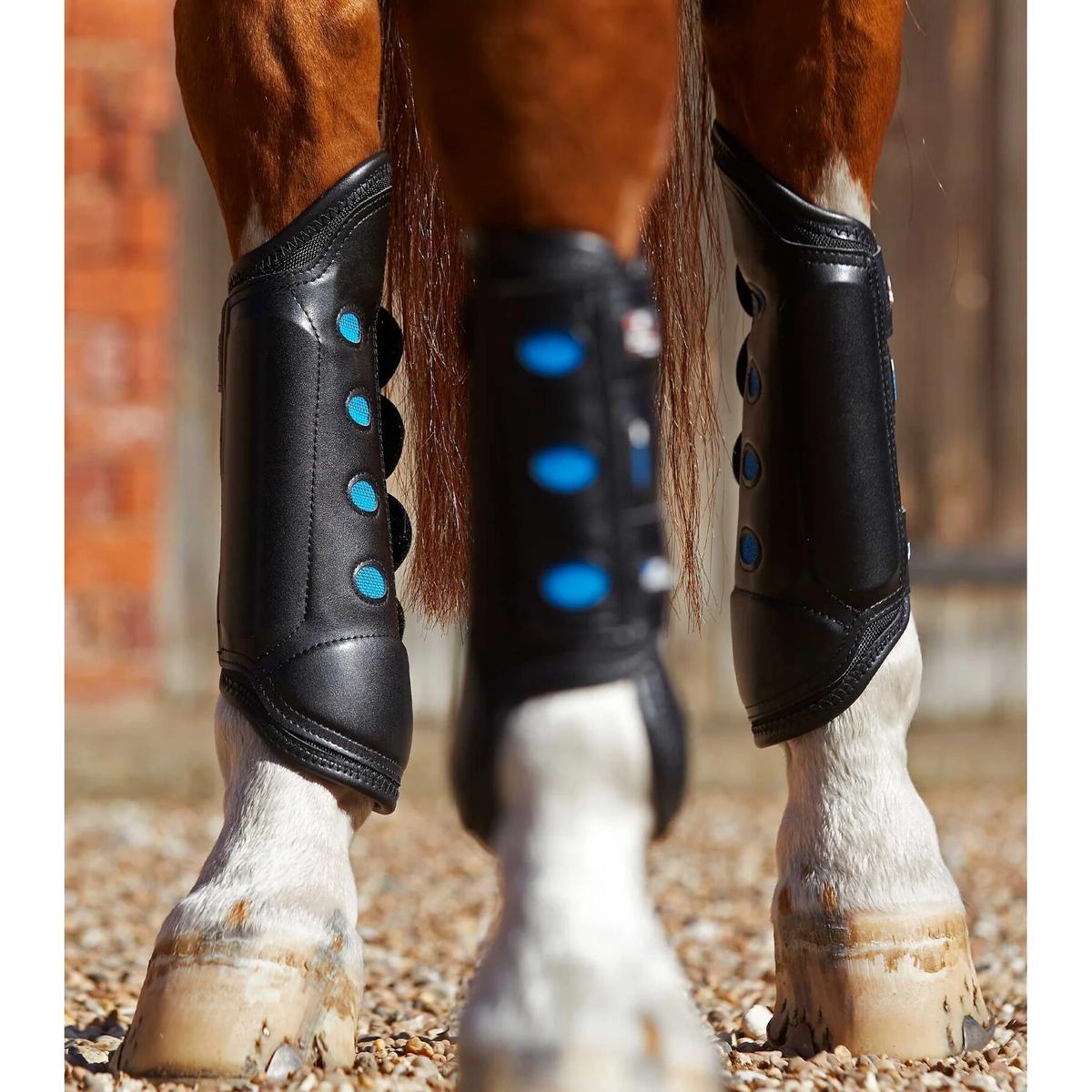 product/p/r/premier-equine_1032hlb_1.jpg