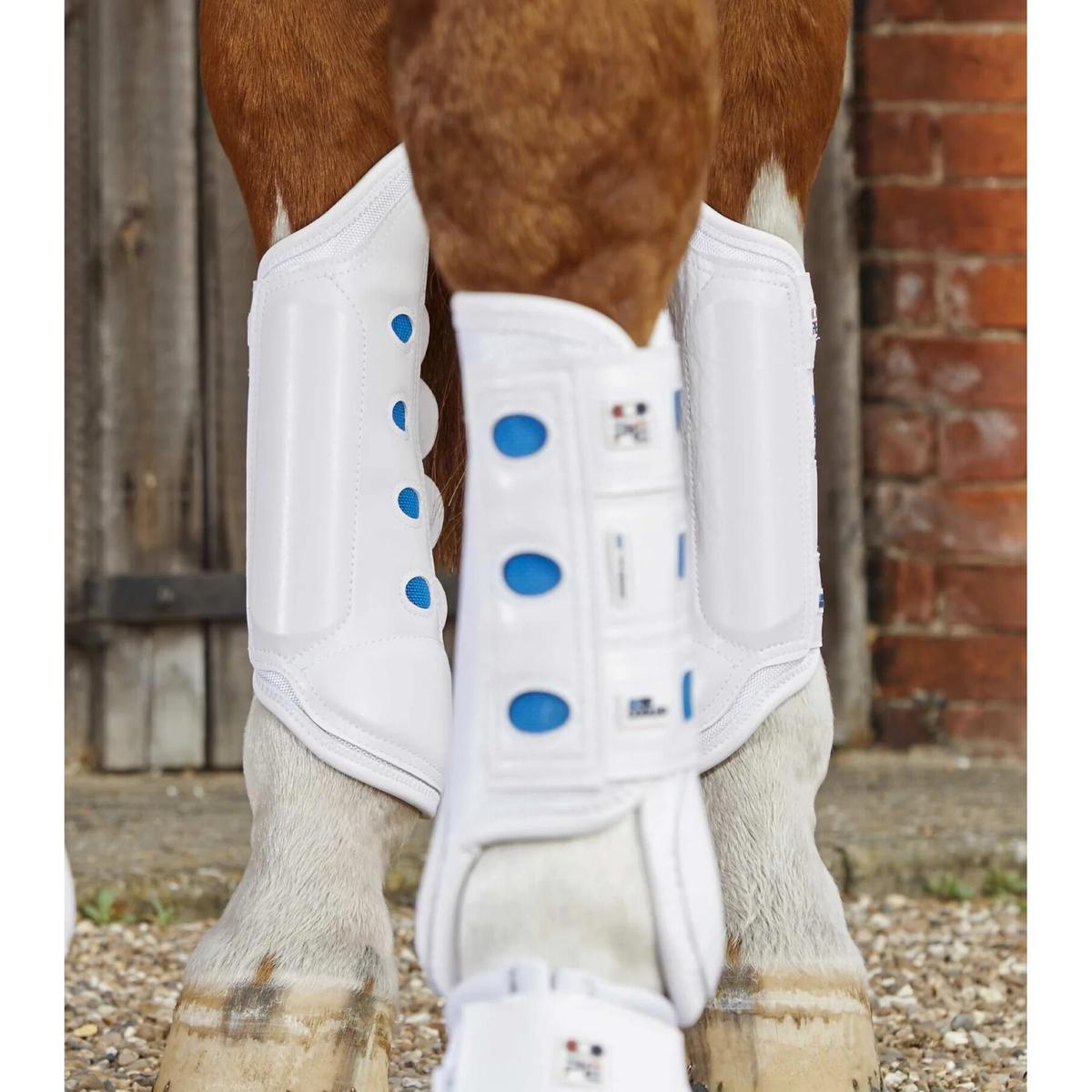 product/p/r/premier-equine_1032hlw_1.jpg