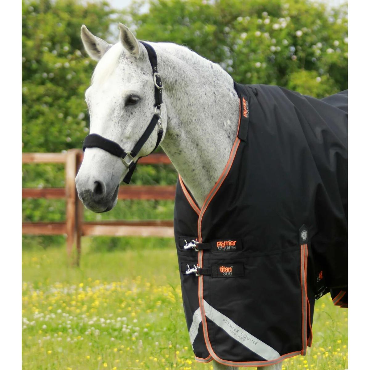 product/p/r/premier-equine_200550blk_2.jpg