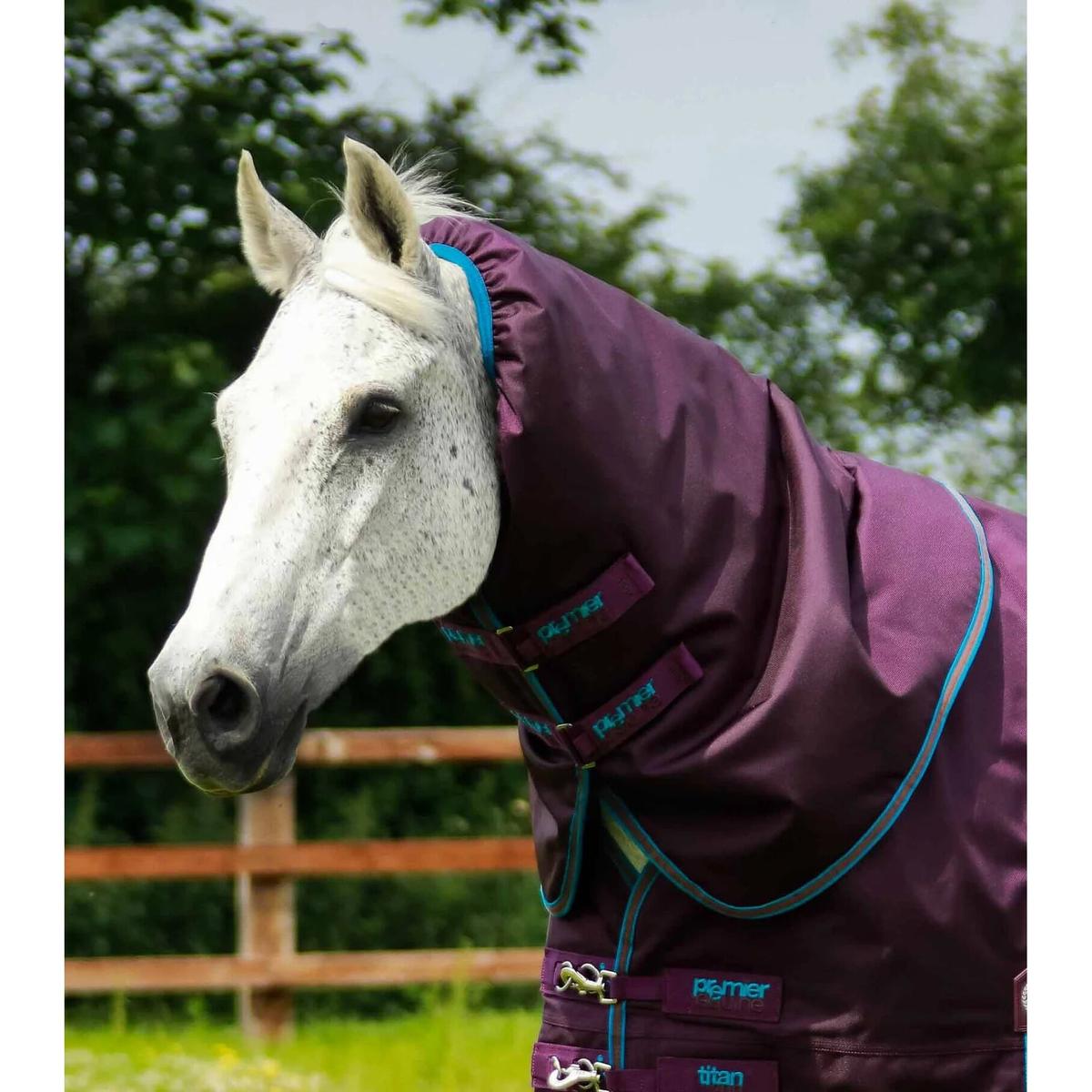 product/p/r/premier-equine_200850p_2.jpg