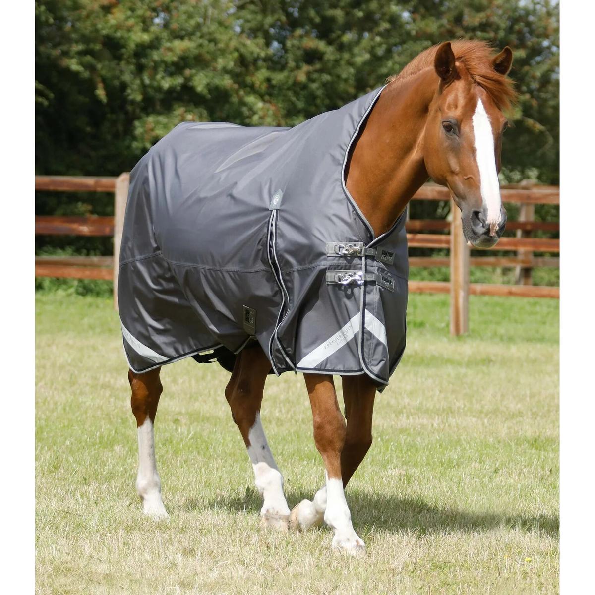 product/p/r/premier-equine_220650g_1.jpg