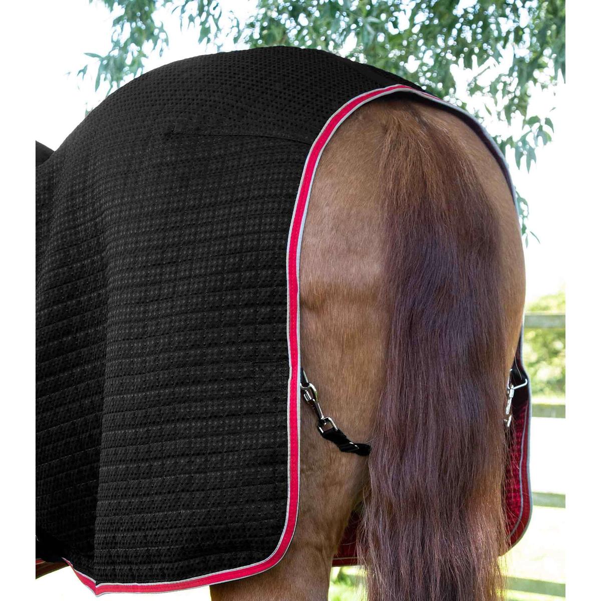 product/p/r/premier-equine_2222-50b_4.jpg