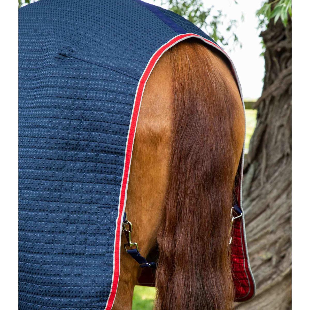 product/p/r/premier-equine_2222-50n_4.jpg